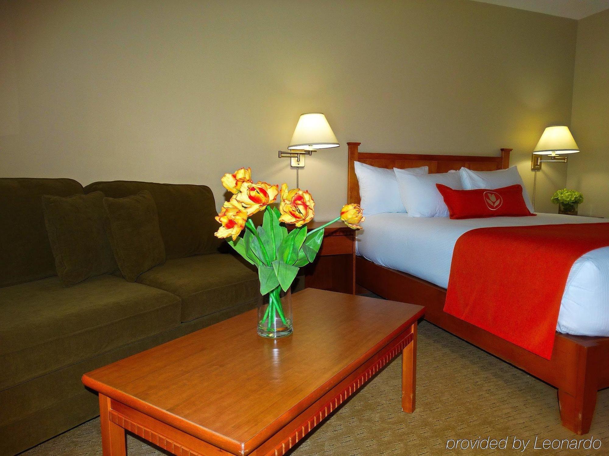 Quality Inn & Suites Amsterdam Fredericton Exterior foto