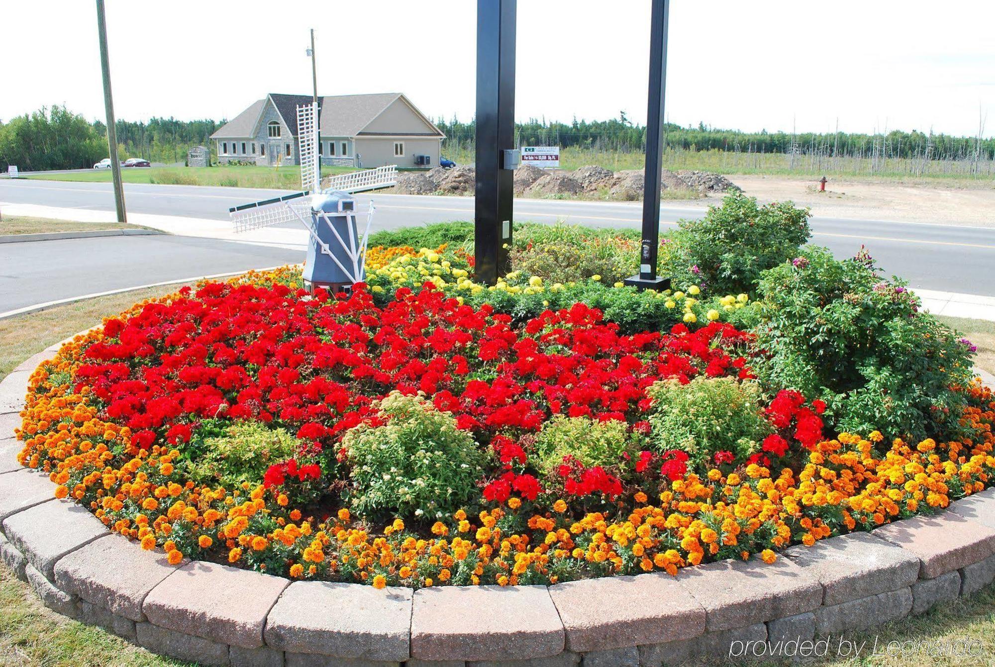 Quality Inn & Suites Amsterdam Fredericton Exterior foto